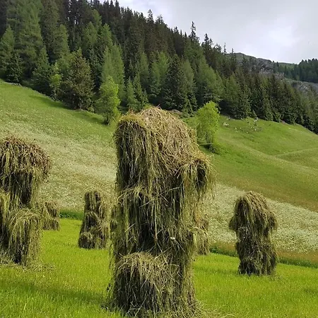 Almhuette Oberschaller Bei Alfenalm - Am Berg Innervillgraten