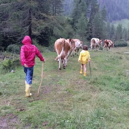 Almhuette Oberschaller Bei Alfenalm - Am Berg *