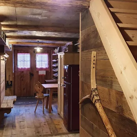 Dağ evi Almhuette Oberschaller Bei Alfenalm - Am Berg